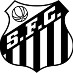 Santos - Flamengo pick 1X (Double Chance) Image 1